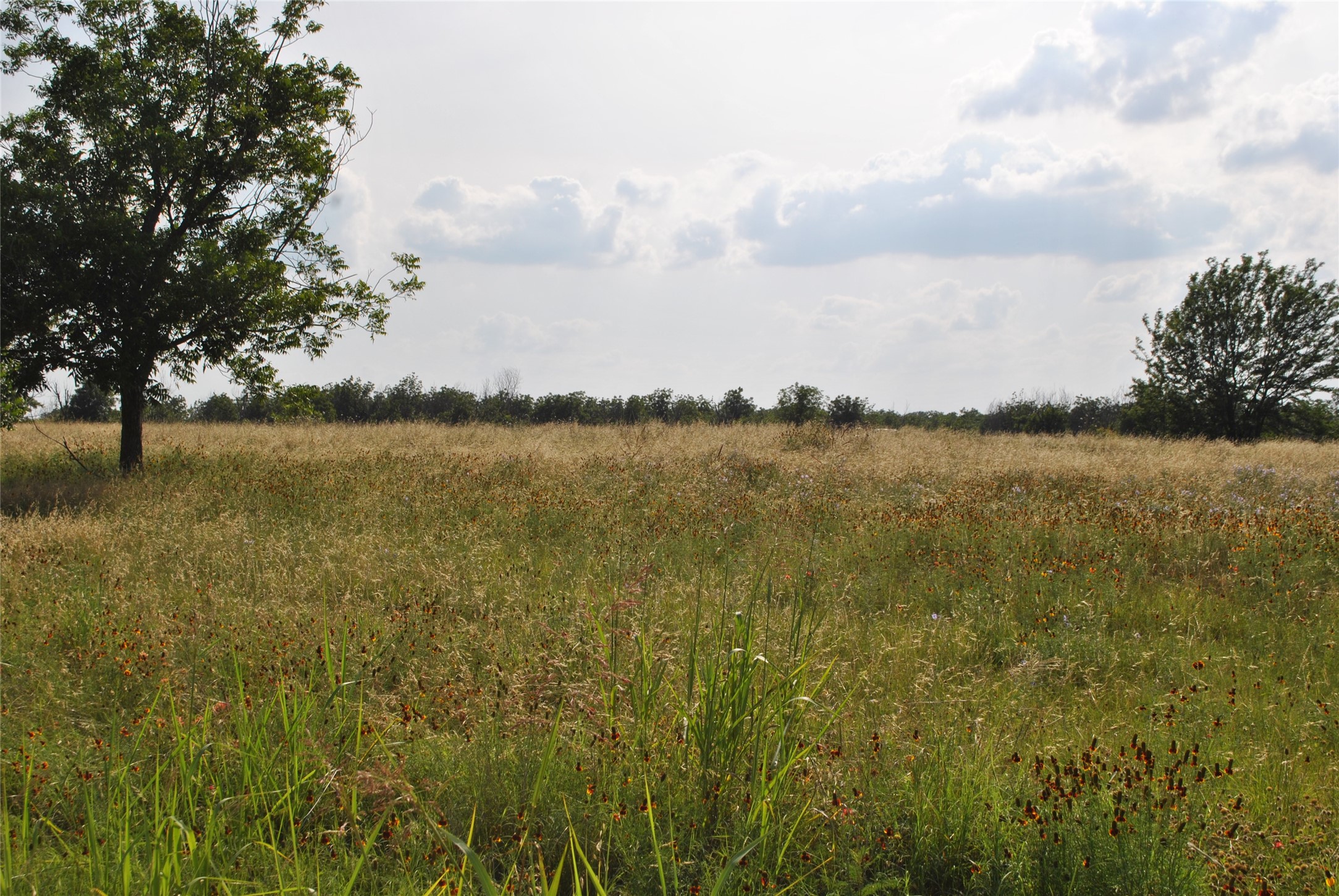 TBD CR 416, Comanche, TX, 76442 | 20960765 | Realty Texas LLC