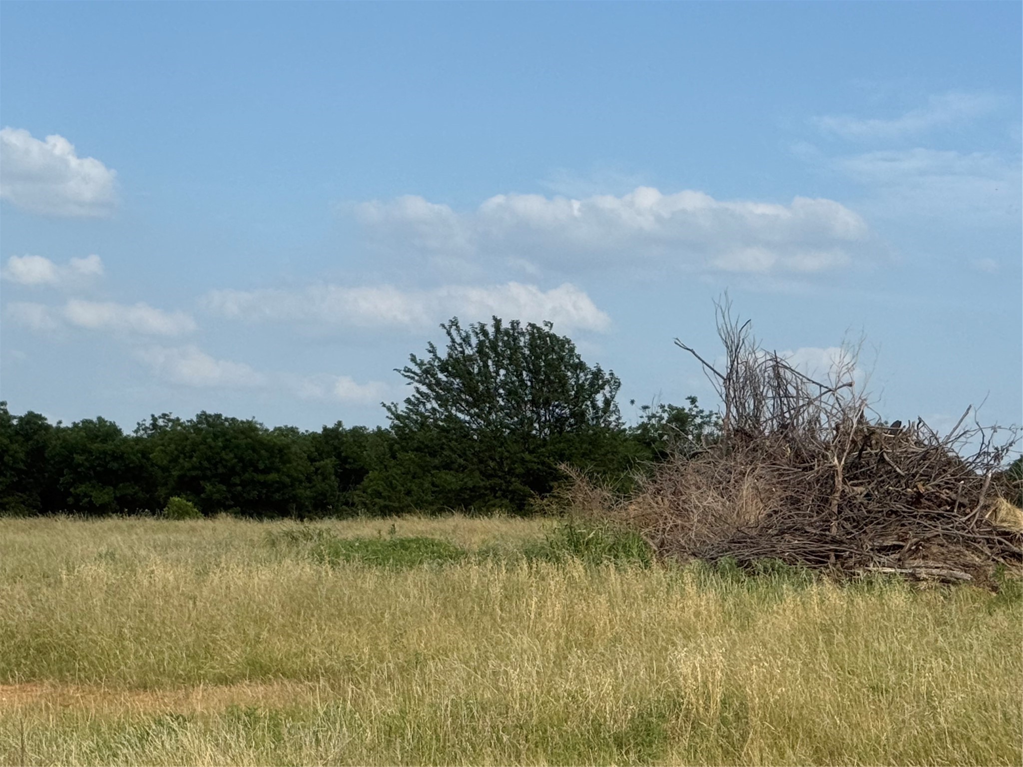 TBD CR 416, Comanche, TX, 76442 | 20960765 | Realty Texas LLC