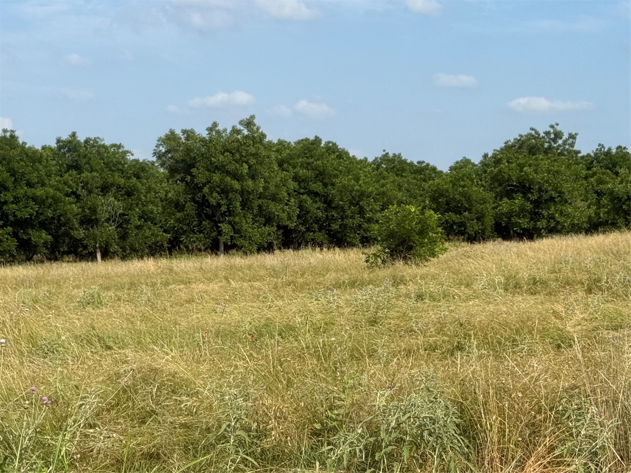 TBD CR 416, Comanche, TX, 76442 | 20960765 | Realty Texas LLC