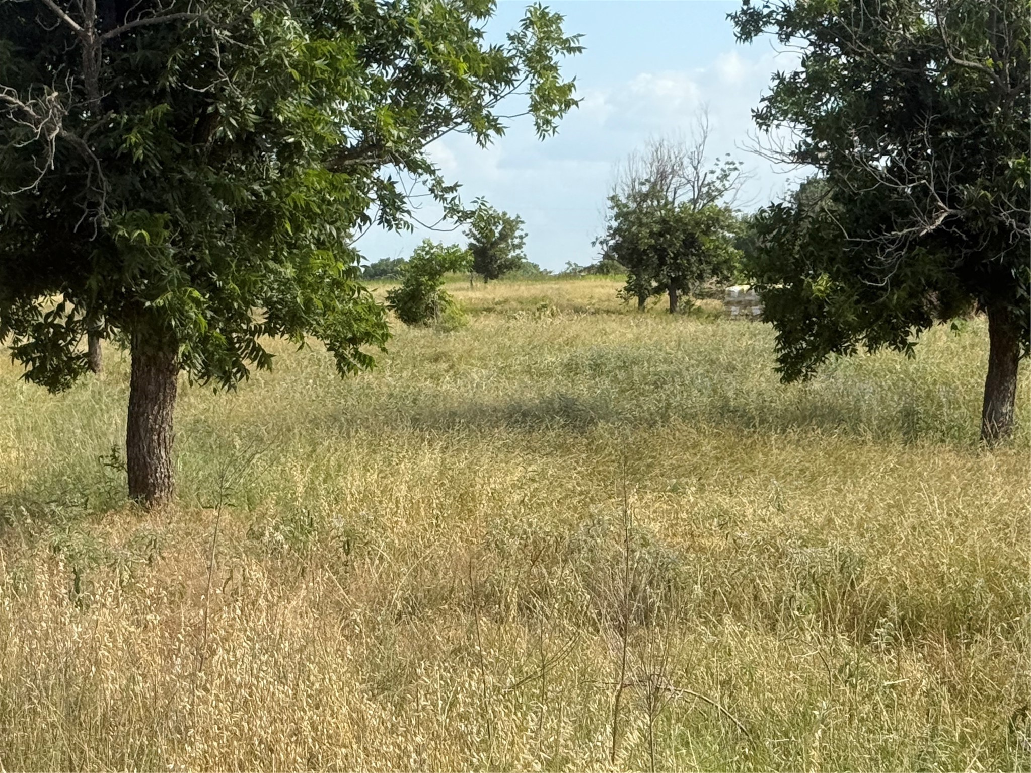 TBD CR 416, Comanche, TX, 76442 | 20960765 | Realty Texas LLC