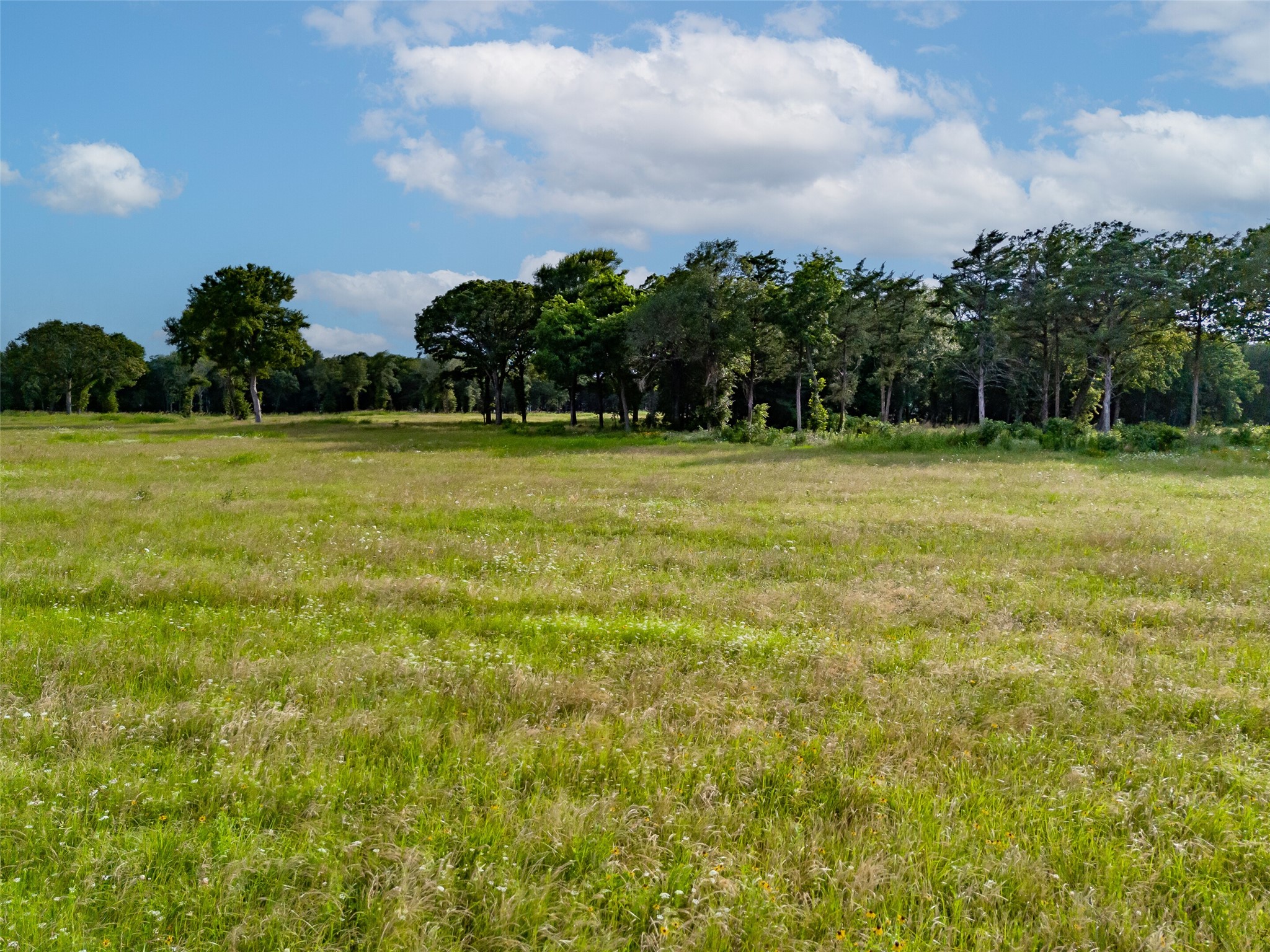 310 Lakewood Lane, Honey Grove, TX, 75446 | 20961045 | Realty Texas LLC