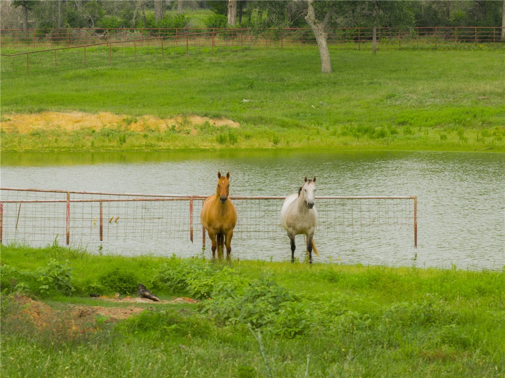 9110 CR 362 CountyRoad, Caldwell, TX, 77836 | 25006649 | Realty Texas LLC