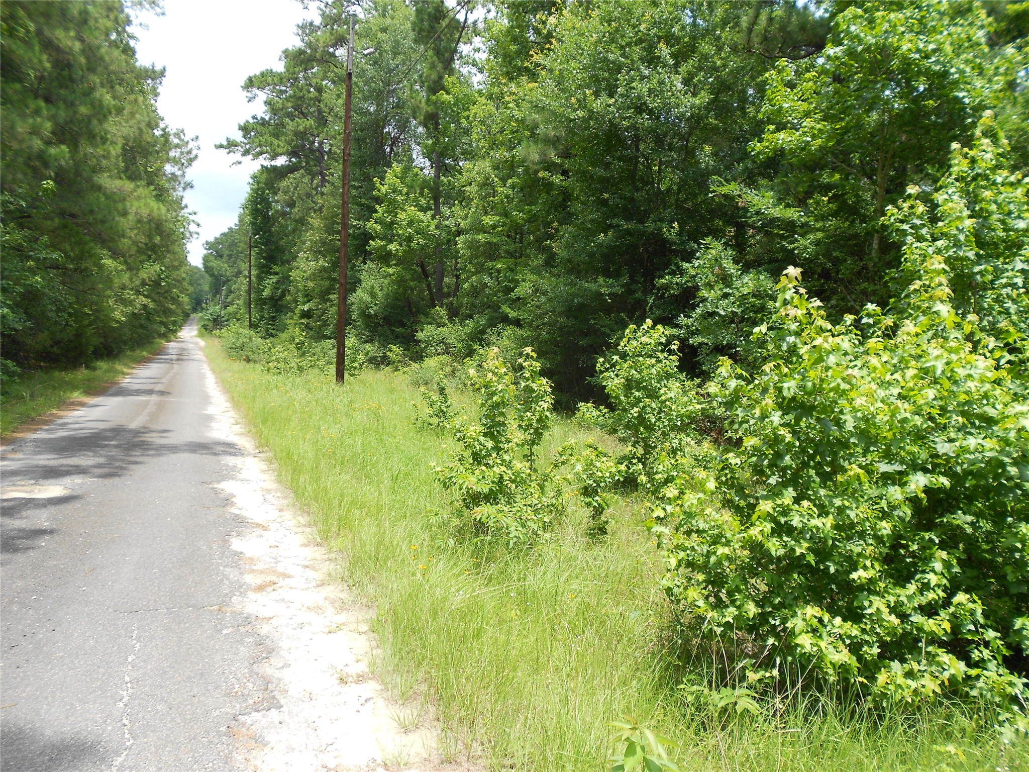 Na River Drive, Trinity, TX, 75862 | 8147275 | Realty Texas LLC