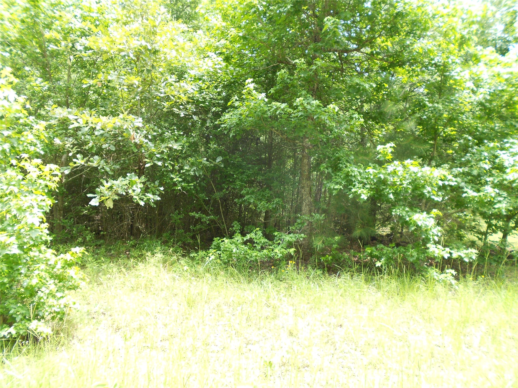 Na River Drive, Trinity, TX, 75862 | 8147275 | Realty Texas LLC