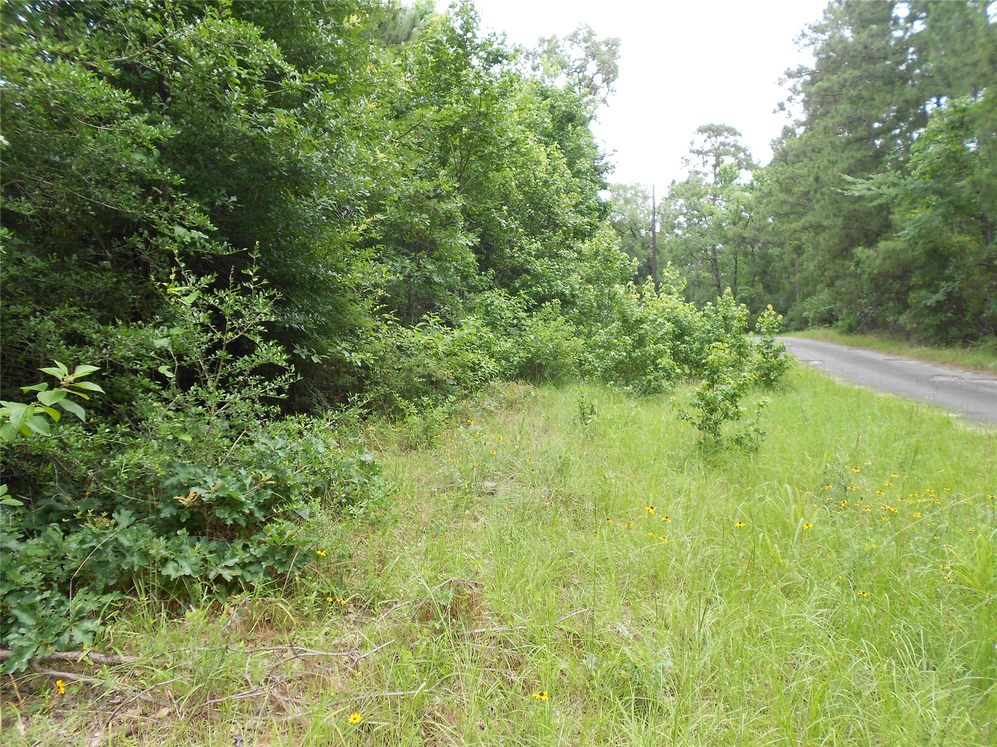 Na River Drive, Trinity, TX, 75862 | 8147275 | Realty Texas LLC