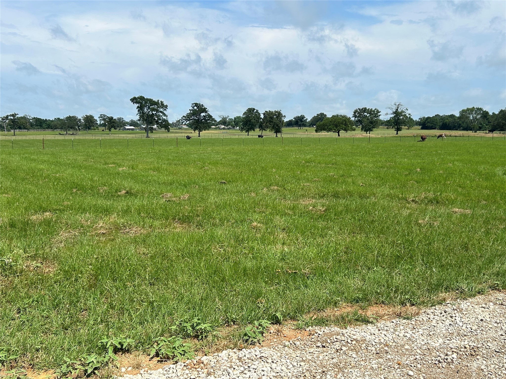 38715 Wiggins Road, Hempstead, TX, 77445 | 90887023 | Realty Texas LLC
