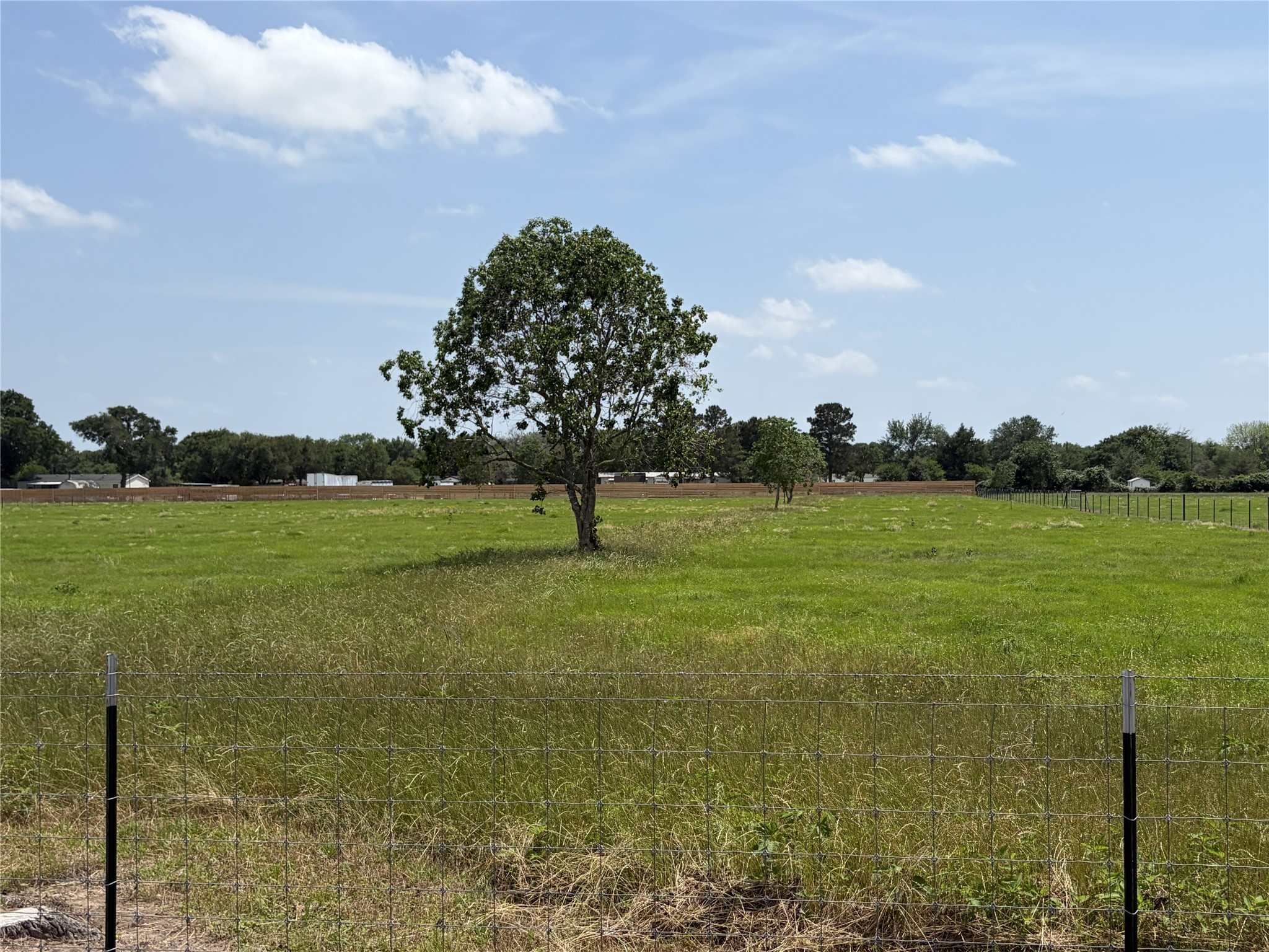 38715 Wiggins Road, Hempstead, TX, 77445 | 90887023 | Realty Texas LLC