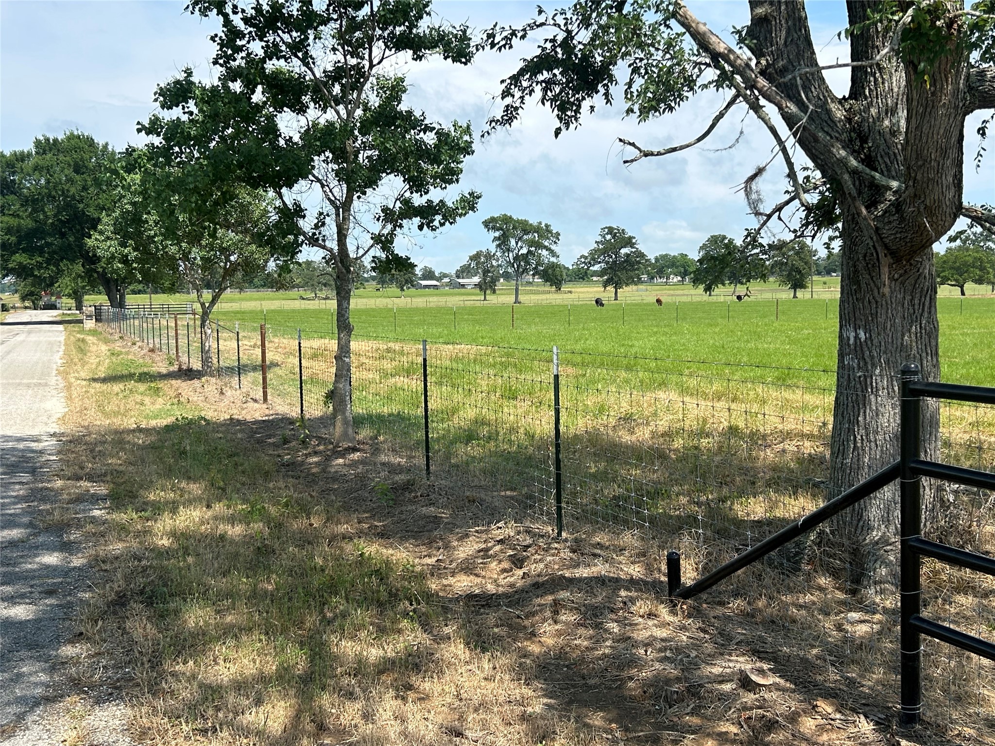 38715 Wiggins Road, Hempstead, TX, 77445 | 90887023 | Realty Texas LLC