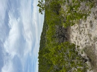 8702 Tepee Cove, Lago Vista, TX, 78645 | 8086733 | Realty Texas LLC