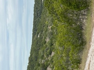 8702 Tepee Cove, Lago Vista, TX, 78645 | 8086733 | Realty Texas LLC