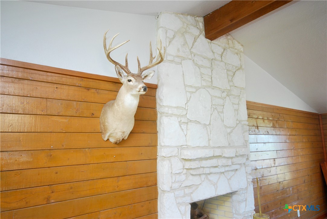2725 Old Lehmann Road, Kingsbury, TX, 78638 | 582563 | Realty Texas LLC