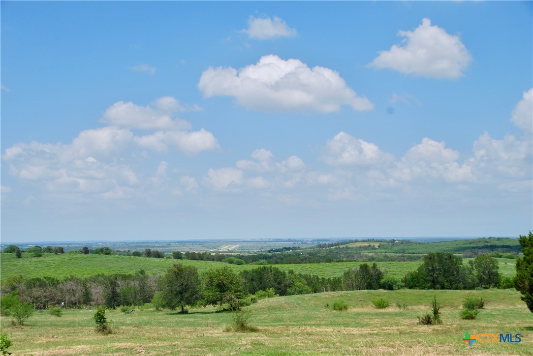 2725 Old Lehmann Road, Kingsbury, TX, 78638 | 582563 | Realty Texas LLC