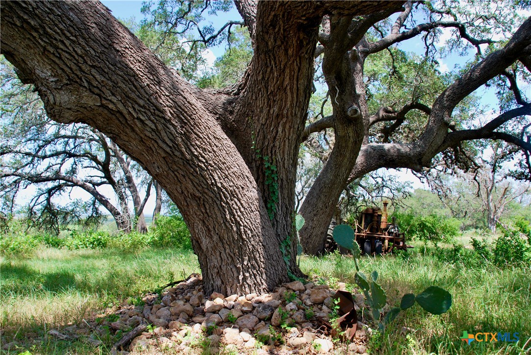 2725 Old Lehmann Road, Kingsbury, TX, 78638 | 582563 | Realty Texas LLC