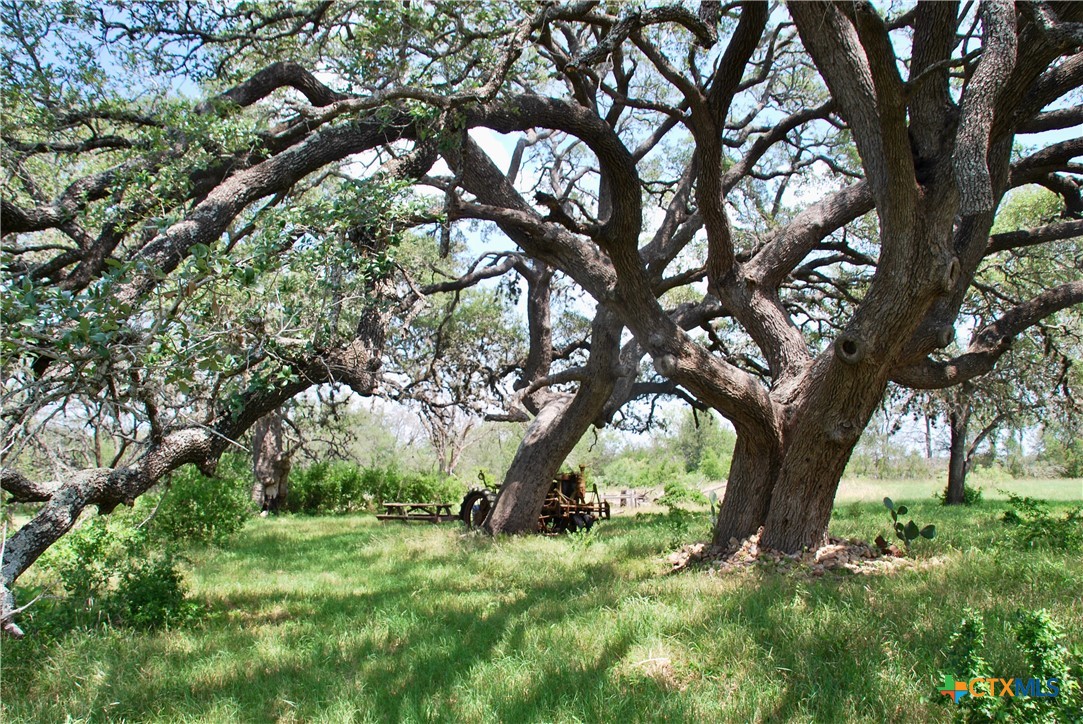 2725 Old Lehmann Road, Kingsbury, TX, 78638 | 582563 | Realty Texas LLC