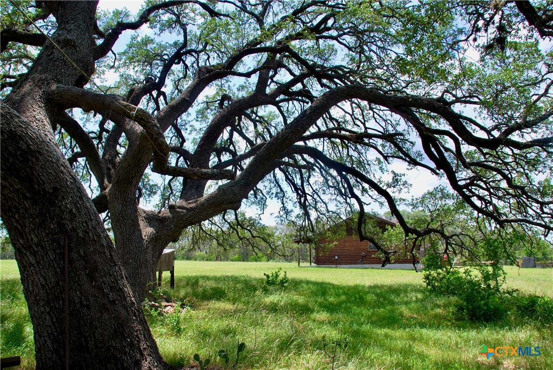 2725 Old Lehmann Road, Kingsbury, TX, 78638 | 582563 | Realty Texas LLC