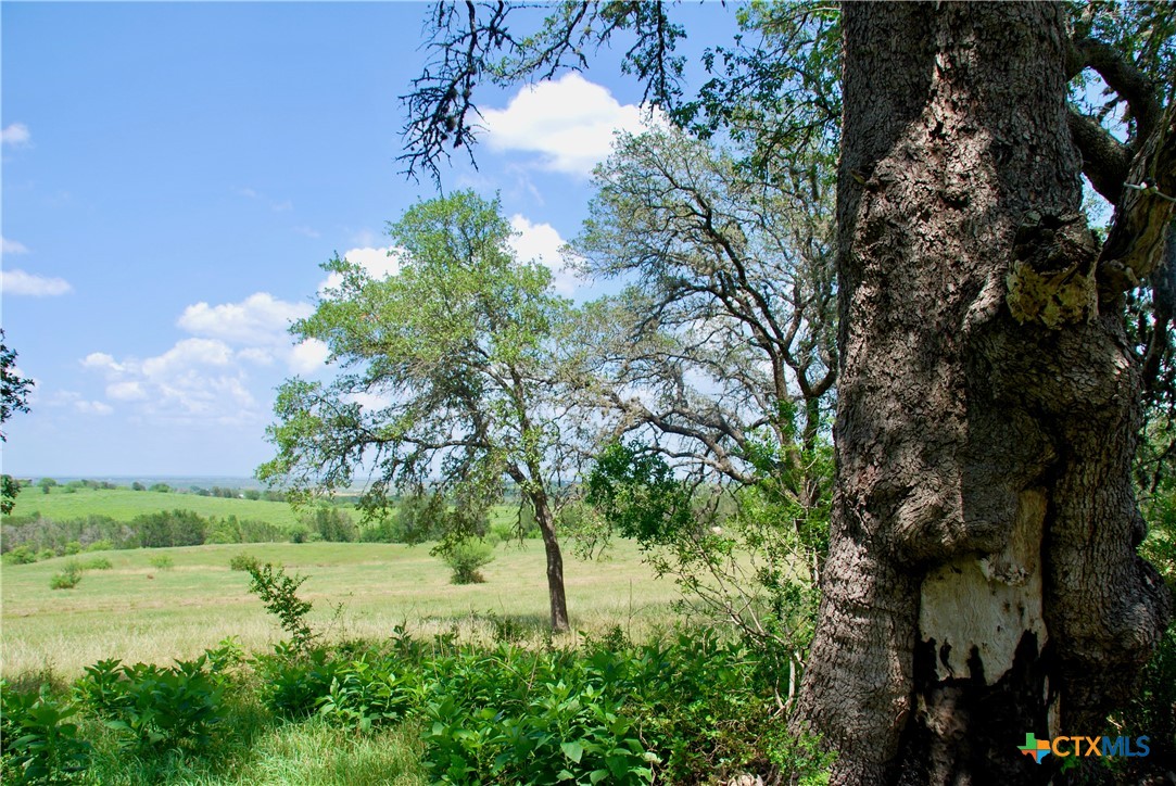 2725 Old Lehmann Road, Kingsbury, TX, 78638 | 582563 | Realty Texas LLC