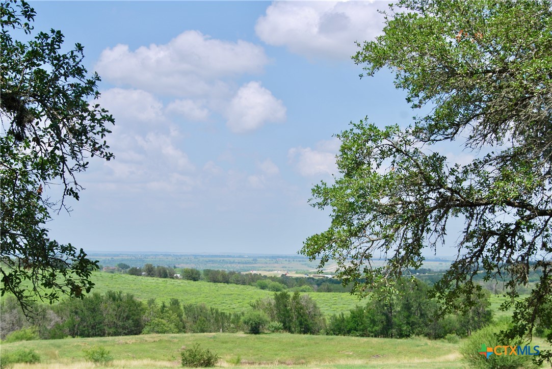 2725 Old Lehmann Road, Kingsbury, TX, 78638 | 582563 | Realty Texas LLC