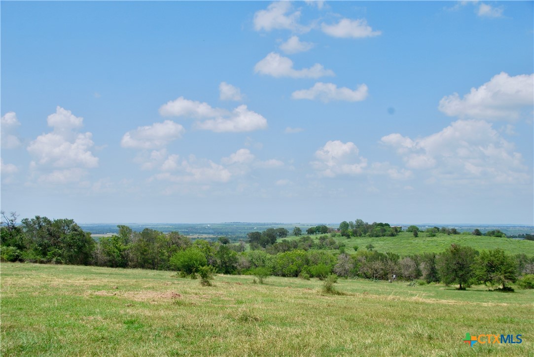 2725 Old Lehmann Road, Kingsbury, TX, 78638 | 582563 | Realty Texas LLC