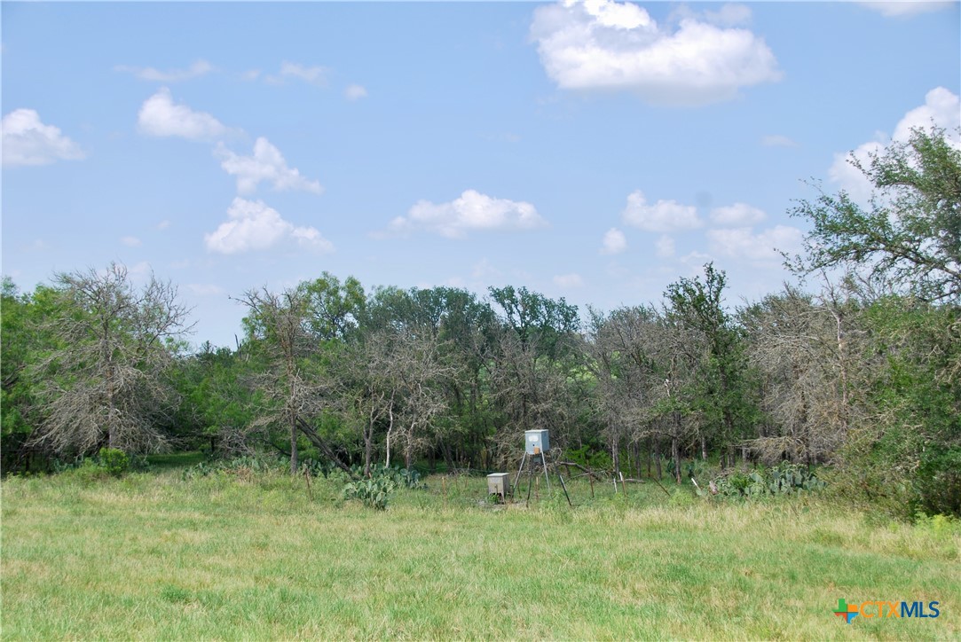 2725 Old Lehmann Road, Kingsbury, TX, 78638 | 582563 | Realty Texas LLC