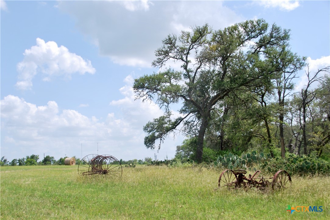 2725 Old Lehmann Road, Kingsbury, TX, 78638 | 582563 | Realty Texas LLC