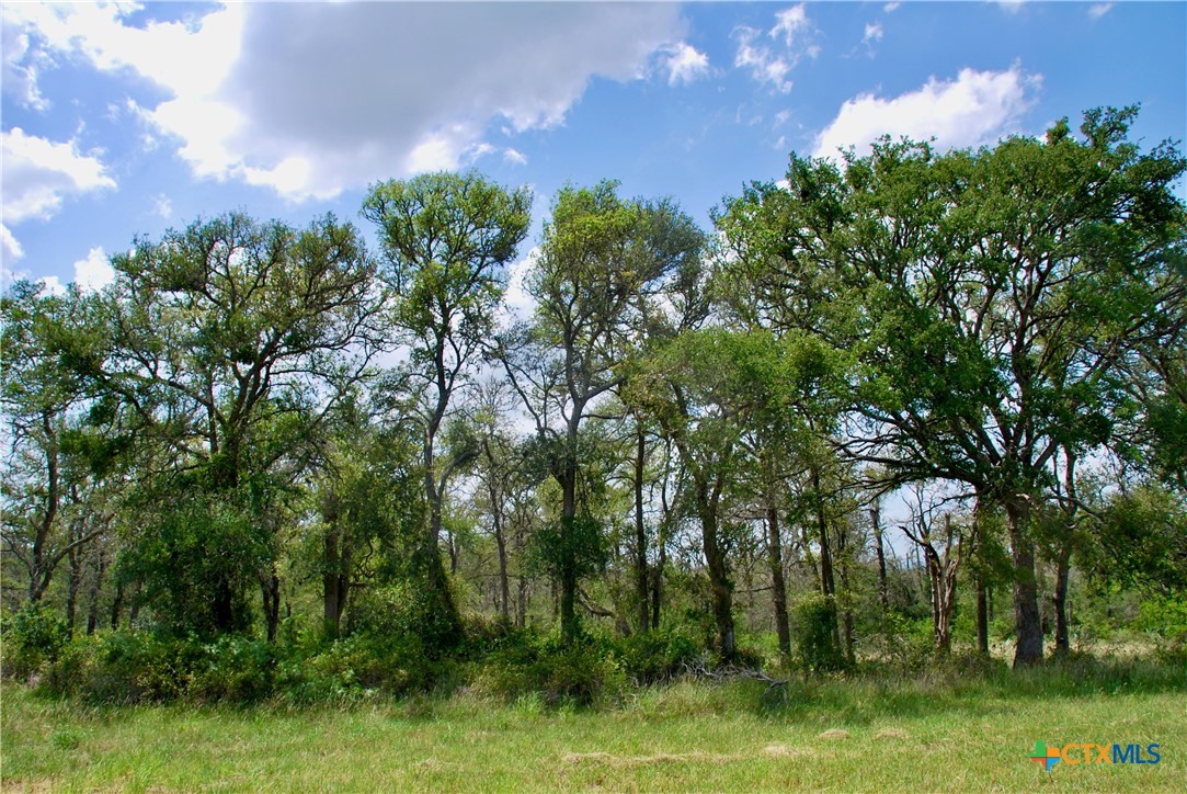 2725 Old Lehmann Road, Kingsbury, TX, 78638 | 582563 | Realty Texas LLC
