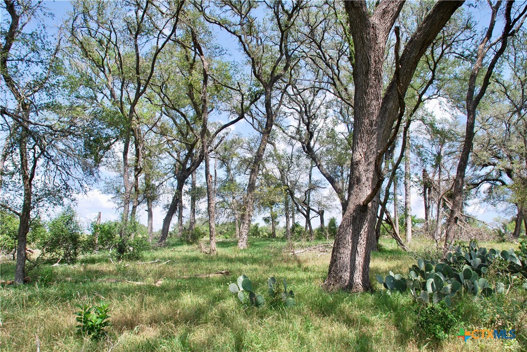 2725 Old Lehmann Road, Kingsbury, TX, 78638 | 582563 | Realty Texas LLC