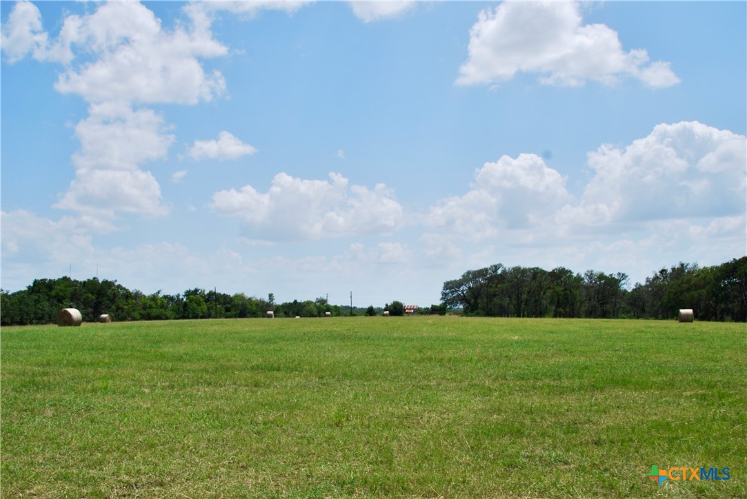 2725 Old Lehmann Road, Kingsbury, TX, 78638 | 582563 | Realty Texas LLC