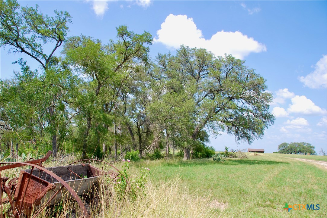 2725 Old Lehmann Road, Kingsbury, TX, 78638 | 582563 | Realty Texas LLC