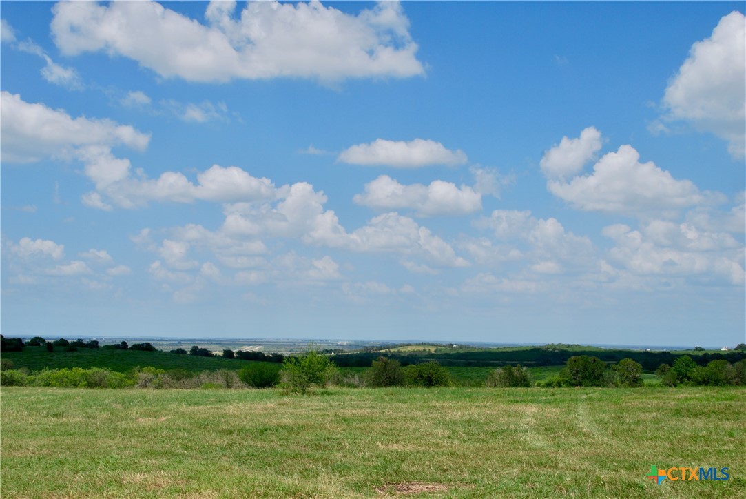 2725 Old Lehmann Road, Kingsbury, TX, 78638 | 582563 | Realty Texas LLC