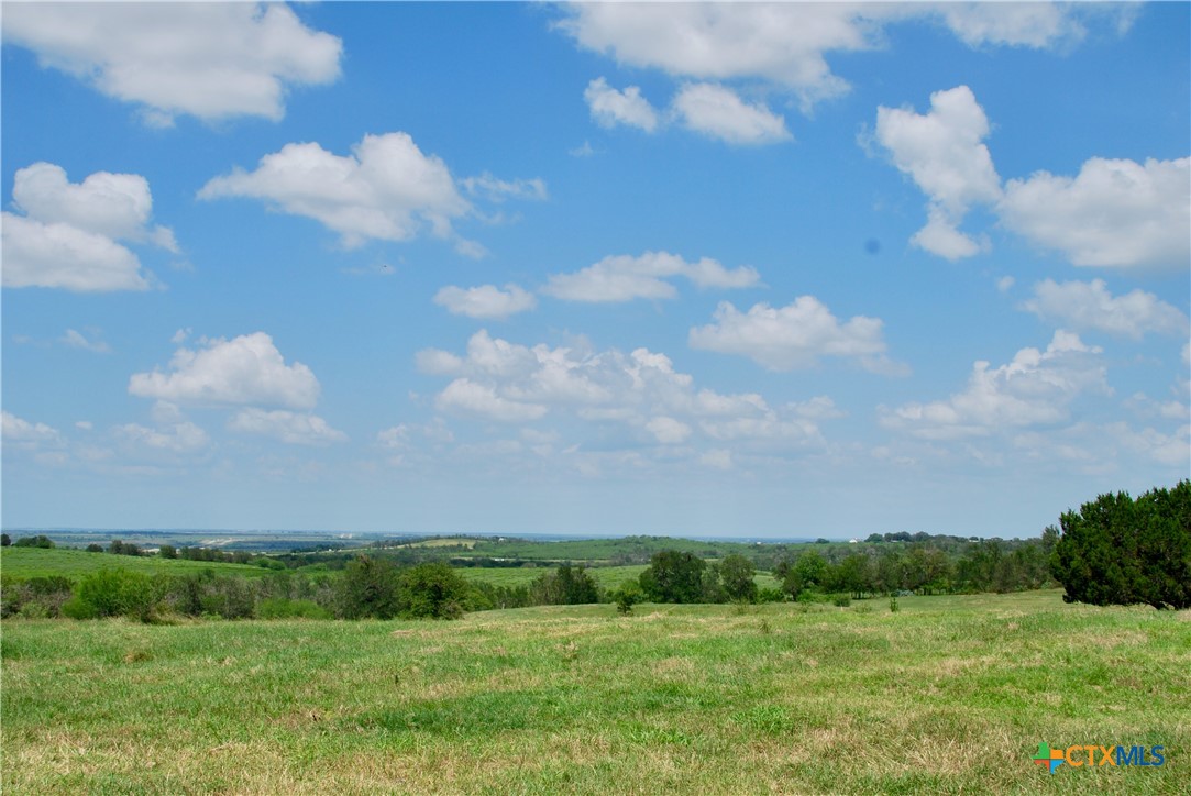 2725 Old Lehmann Road, Kingsbury, TX, 78638 | 582563 | Realty Texas LLC