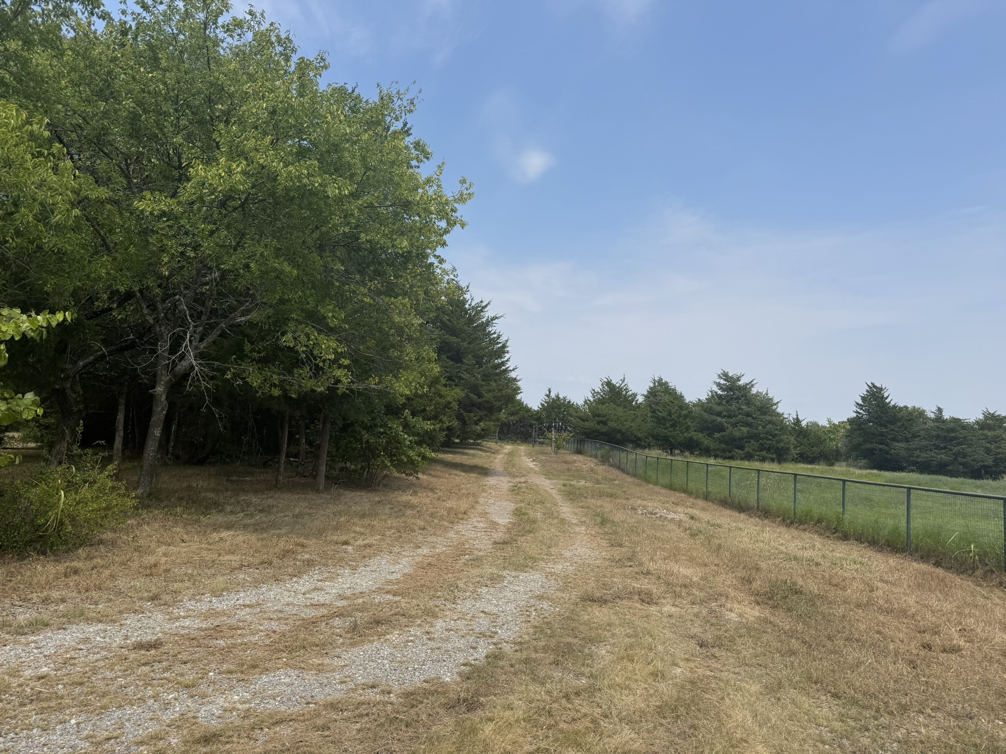 1980 County Road 3040, Bonham, TX, 75418 | 20962686 | Realty Texas LLC