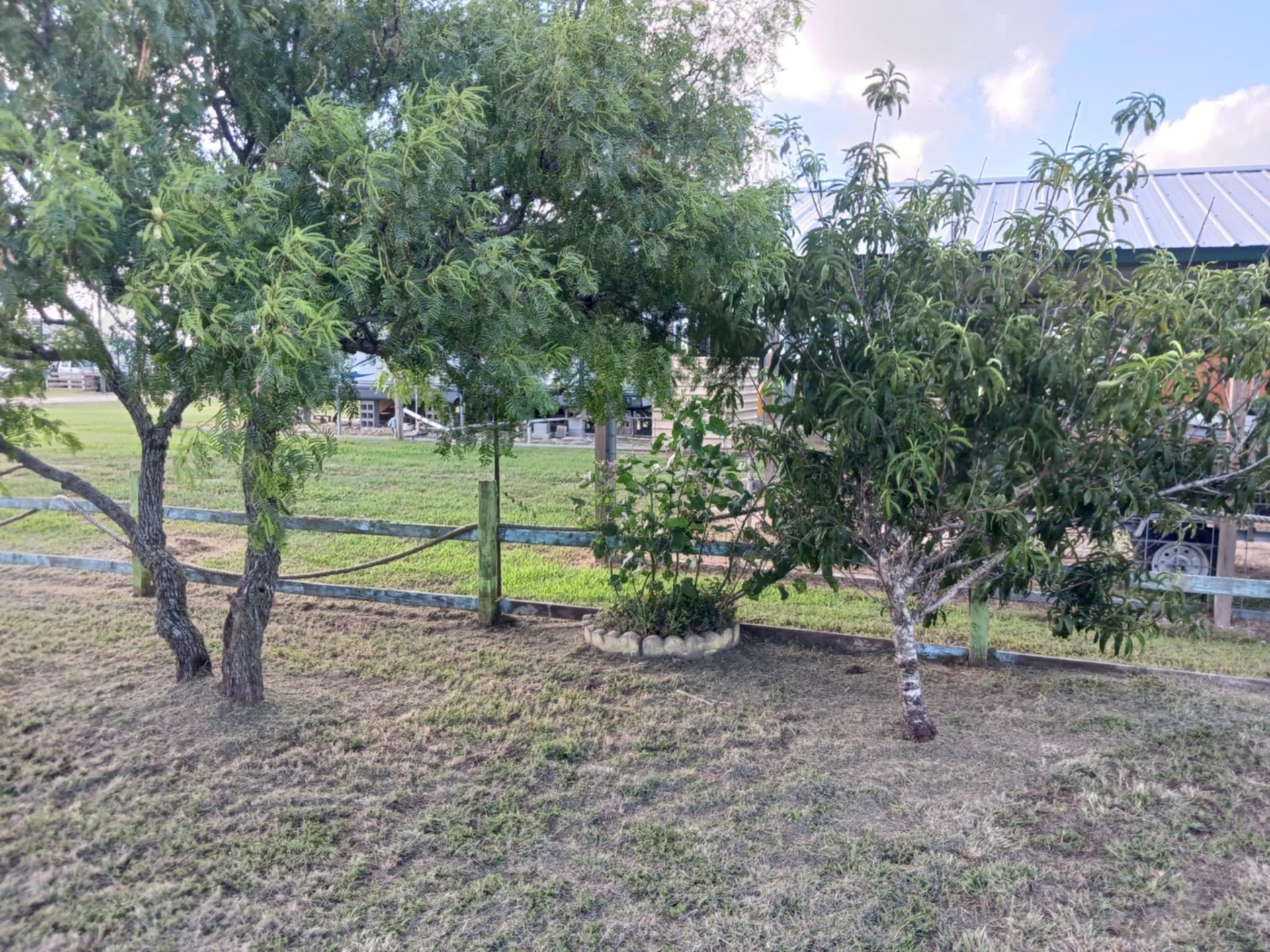 127 Oarfish Drive, Palacios, TX, 77465 | 62128602 | Realty Texas LLC