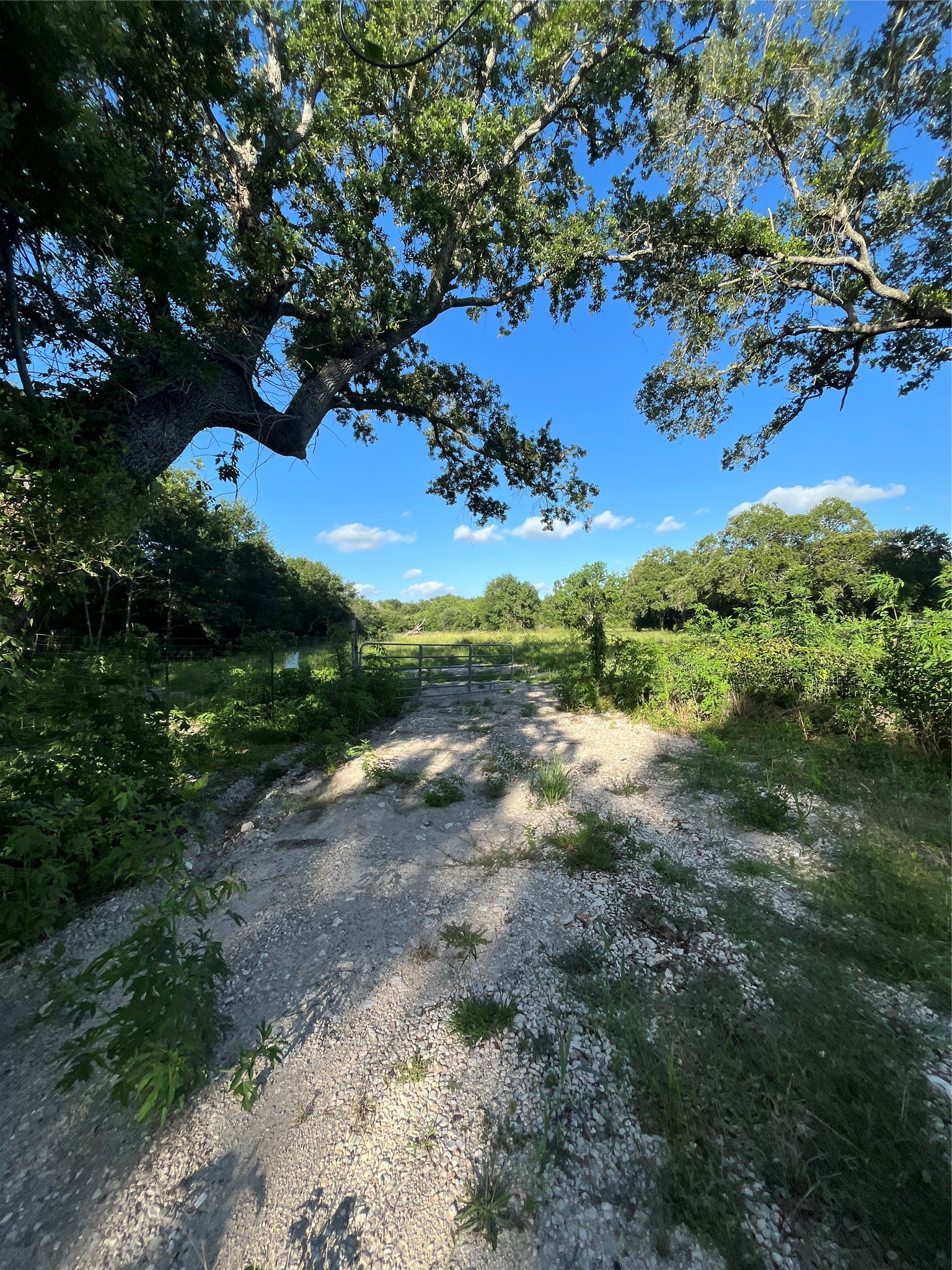 6125 Masters Road, Manvel, TX, 77578 | 18884479 | Realty Texas LLC