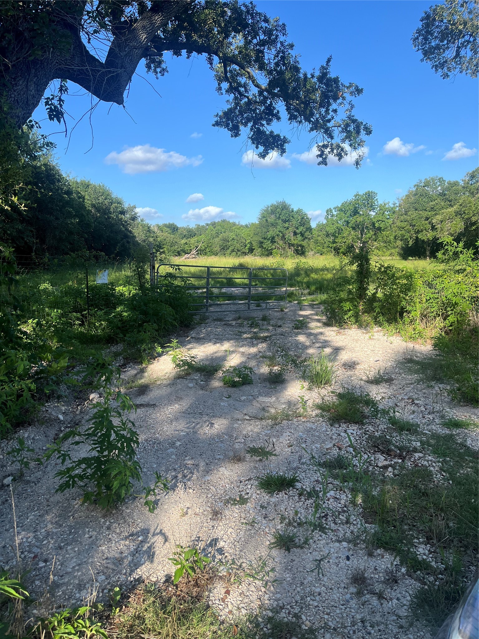 6125 Masters Road, Manvel, TX, 77578 | 18884479 | Realty Texas LLC