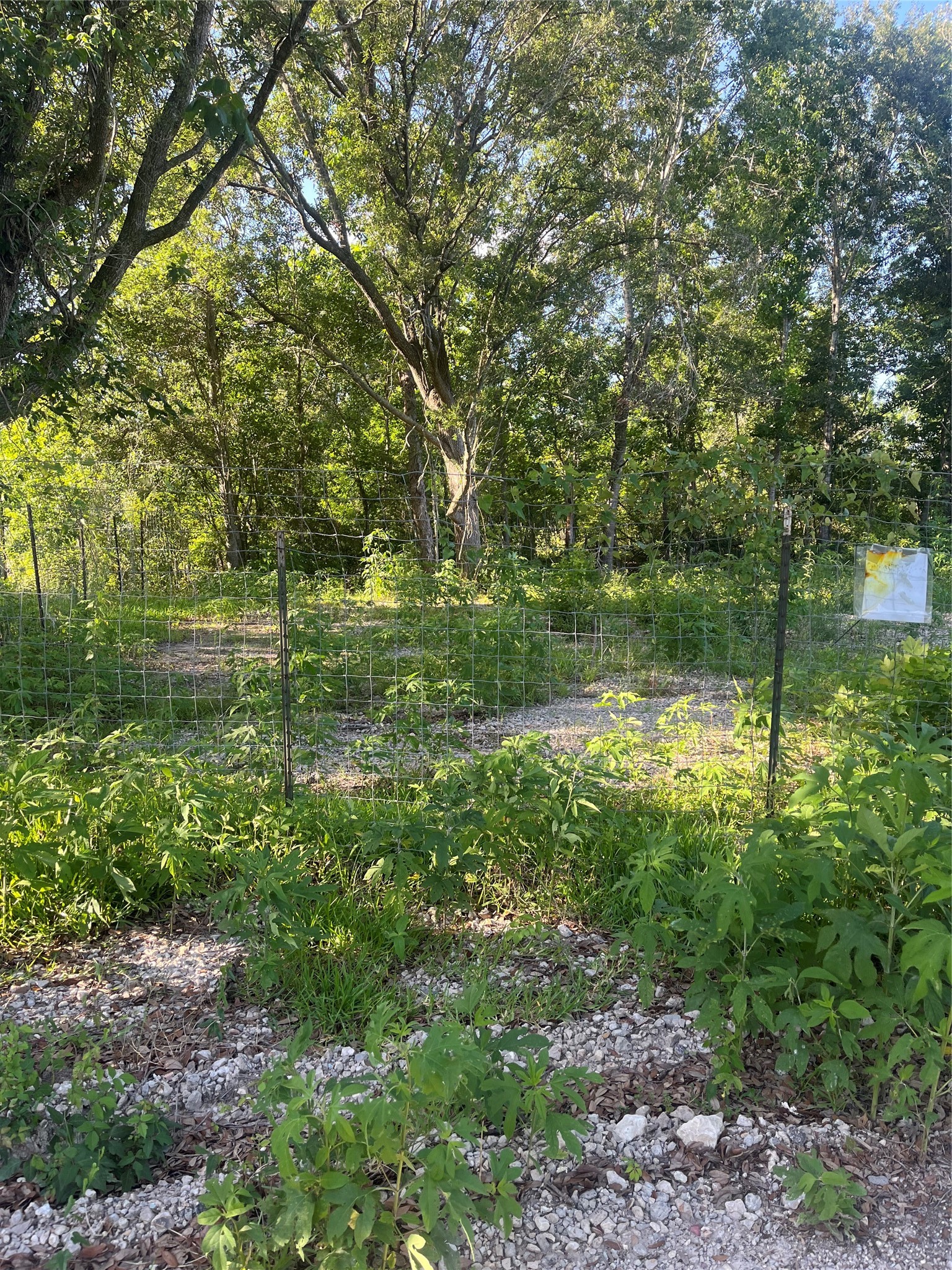 6125 Masters Road, Manvel, TX, 77578 | 18884479 | Realty Texas LLC