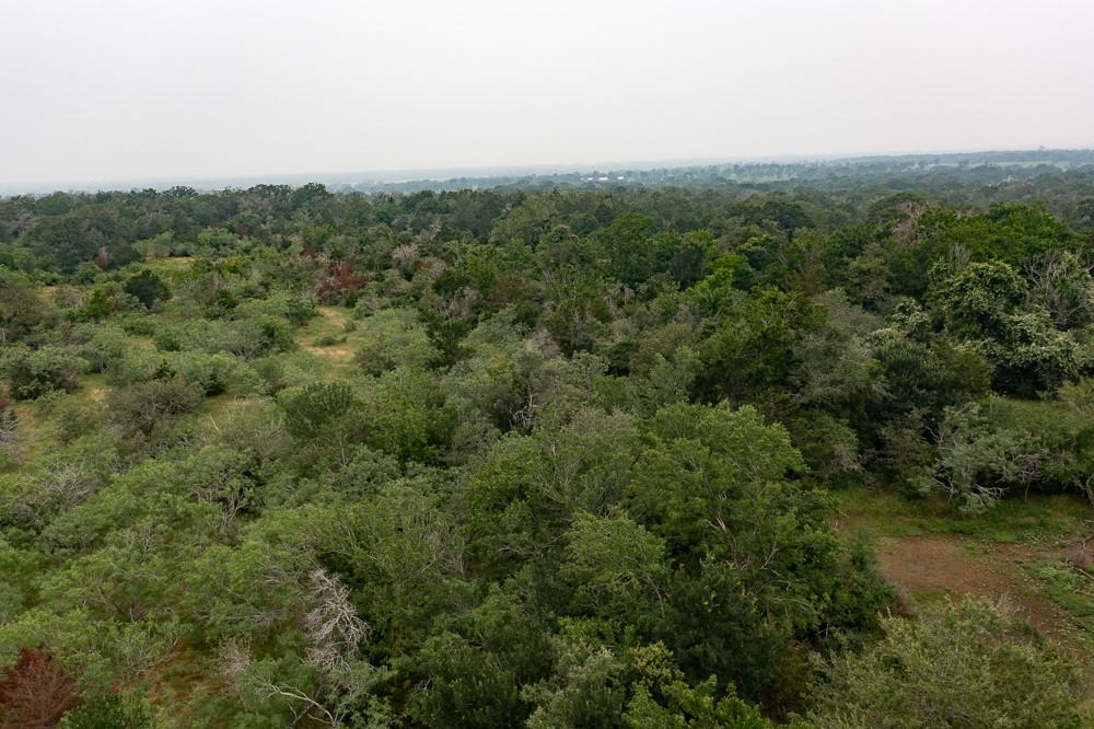 LOT 2 Private Road 4601, Waelder, TX, 78959 | 1371869 | Realty Texas LLC