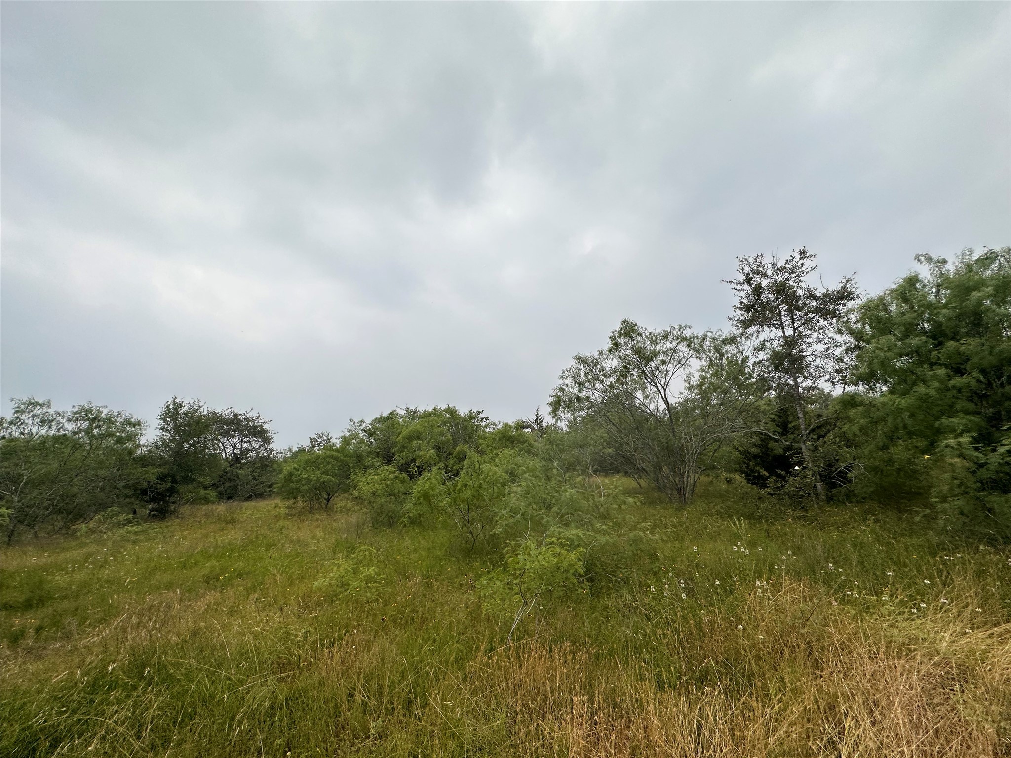 LOT 2 Private Road 4601, Waelder, TX, 78959 | 1371869 | Realty Texas LLC
