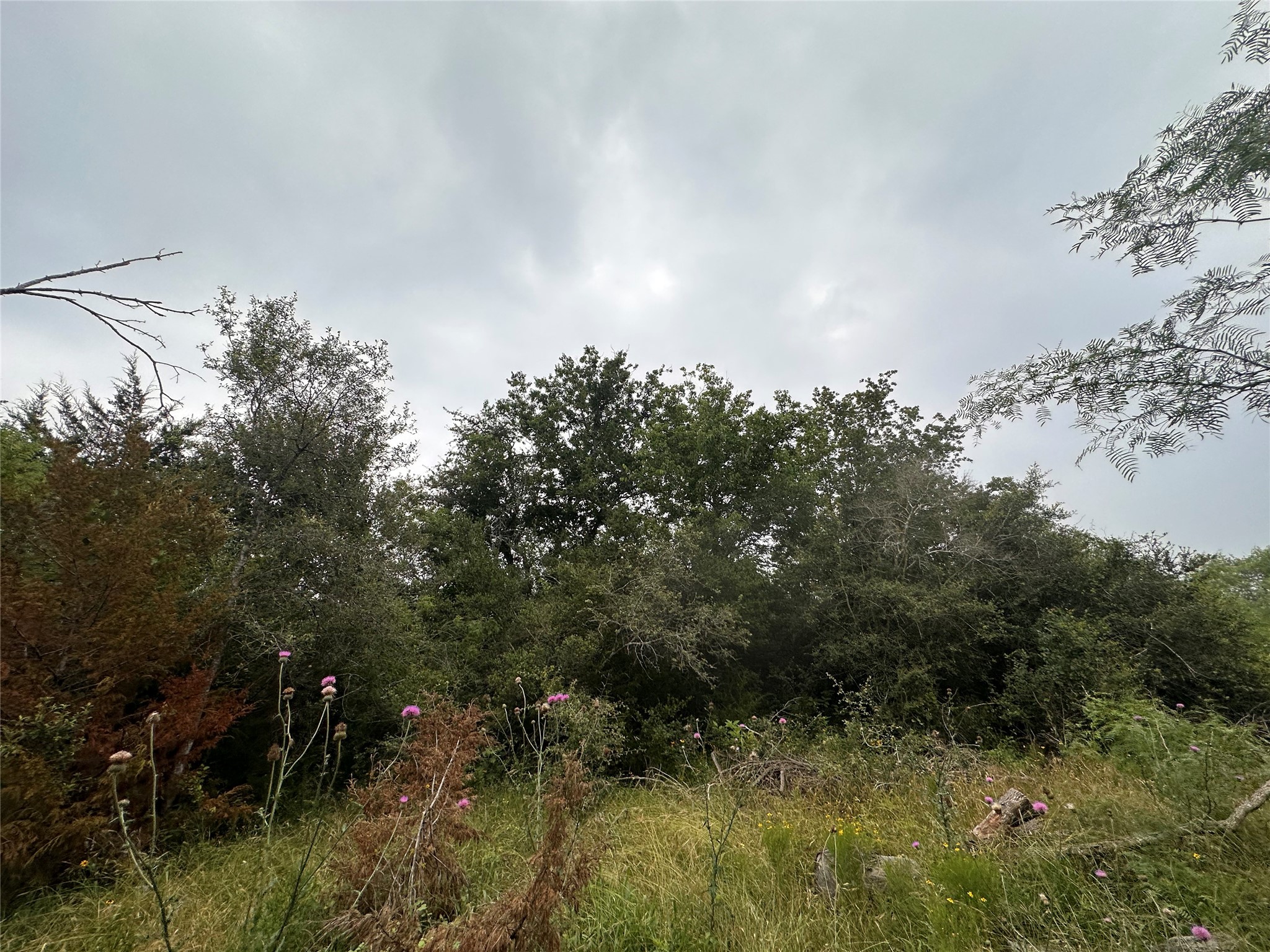 LOT 2 Private Road 4601, Waelder, TX, 78959 | 1371869 | Realty Texas LLC