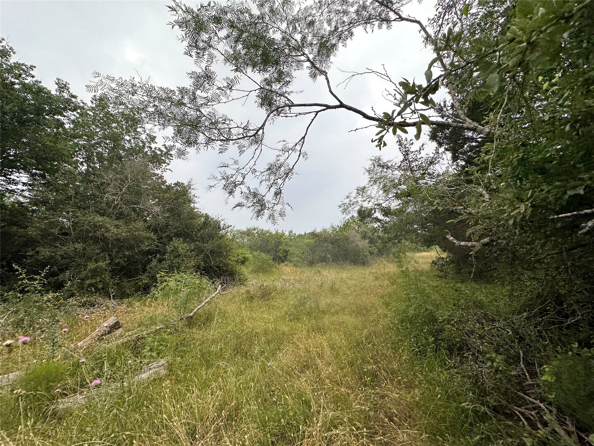 LOT 2 Private Road 4601, Waelder, TX, 78959 | 1371869 | Realty Texas LLC