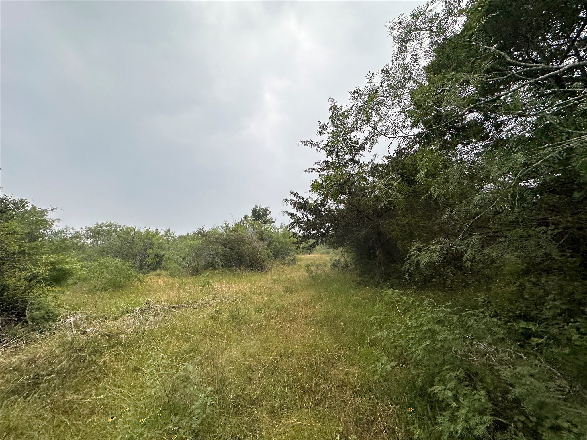 LOT 2 Private Road 4601, Waelder, TX, 78959 | 1371869 | Realty Texas LLC