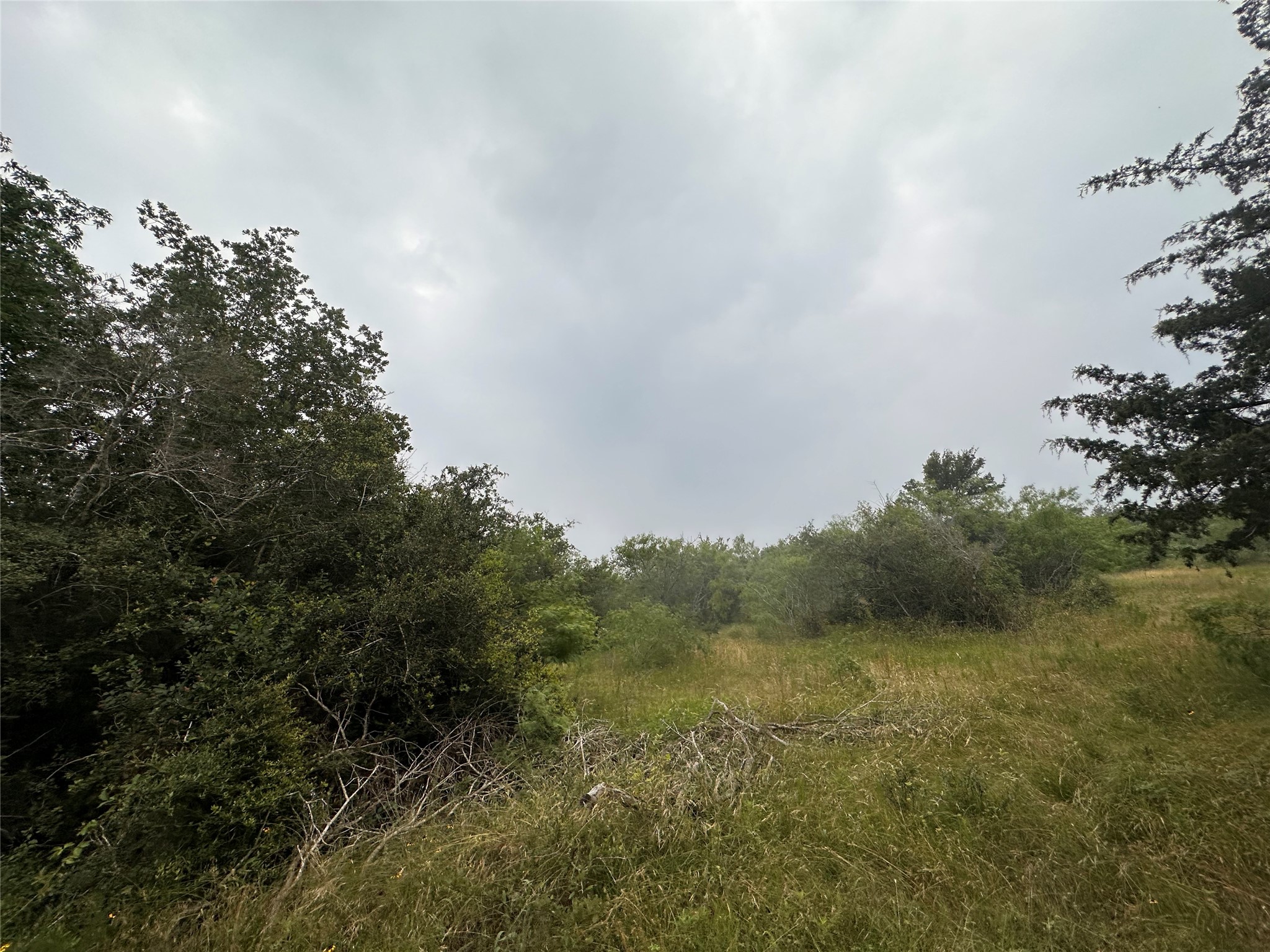 LOT 2 Private Road 4601, Waelder, TX, 78959 | 1371869 | Realty Texas LLC
