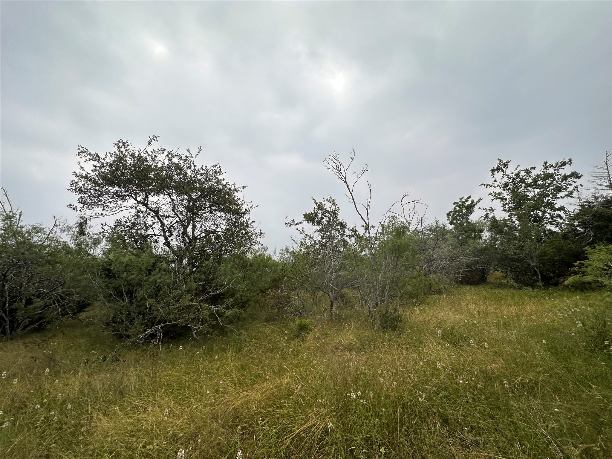 LOT 2 Private Road 4601, Waelder, TX, 78959 | 1371869 | Realty Texas LLC
