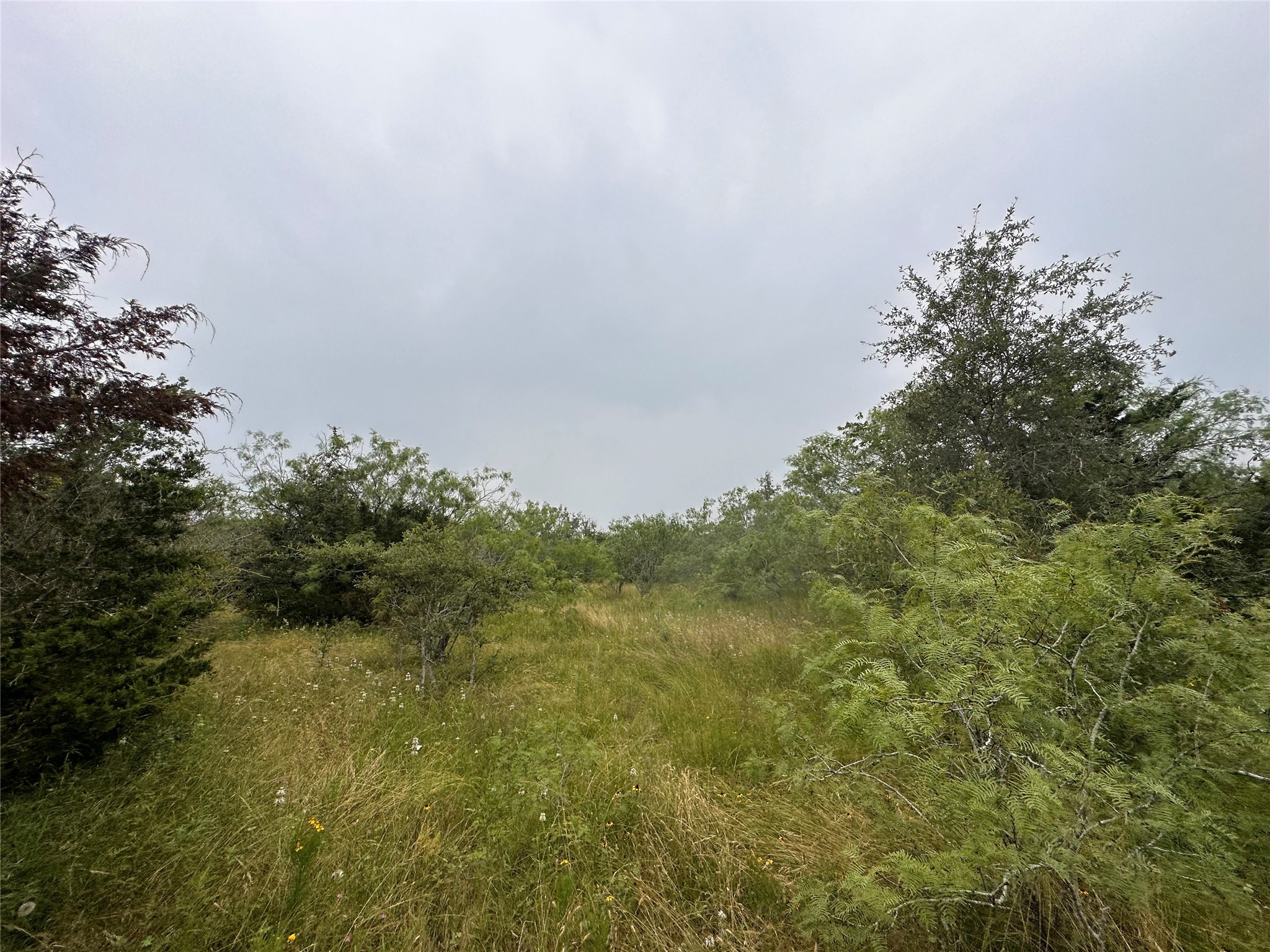 LOT 2 Private Road 4601, Waelder, TX, 78959 | 1371869 | Realty Texas LLC