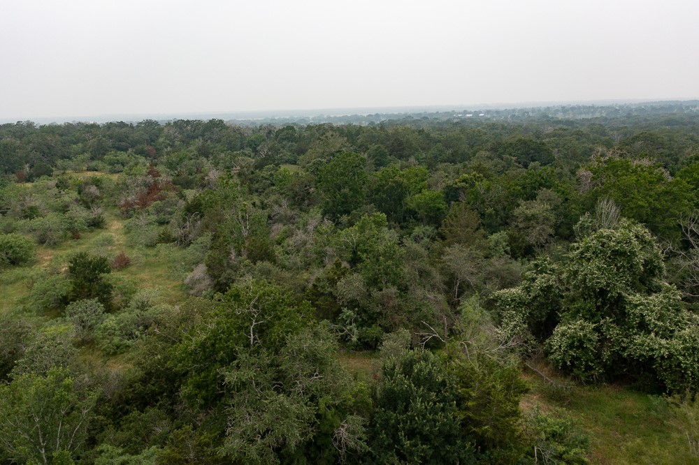 LOT 2 Private Road 4601, Waelder, TX, 78959 | 1371869 | Realty Texas LLC