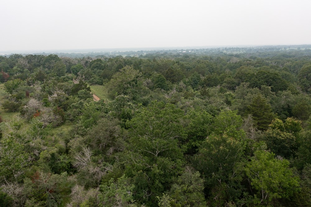 LOT 2 Private Road 4601, Waelder, TX, 78959 | 1371869 | Realty Texas LLC