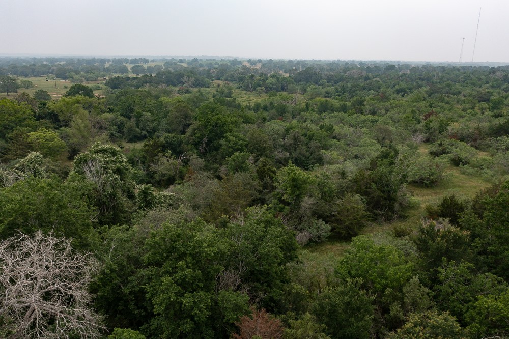 LOT 2 Private Road 4601, Waelder, TX, 78959 | 1371869 | Realty Texas LLC