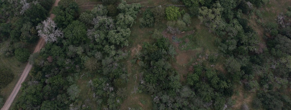 LOT 2 Private Road 4601, Waelder, TX, 78959 | 1371869 | Realty Texas LLC