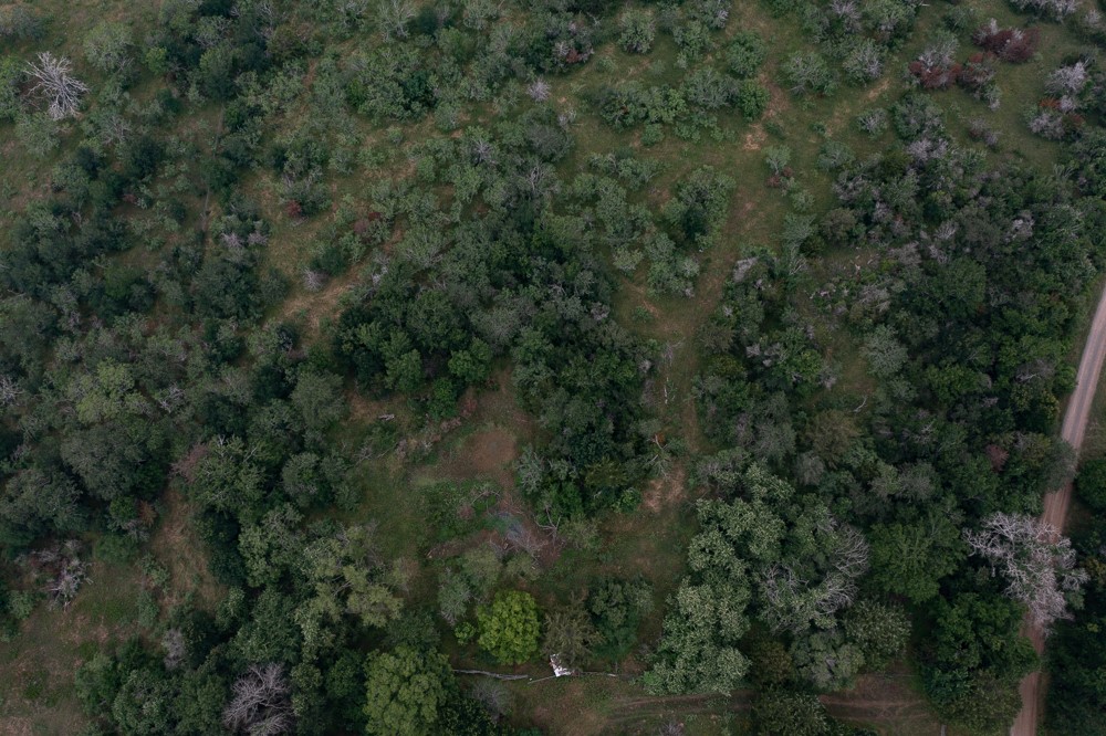 LOT 2 Private Road 4601, Waelder, TX, 78959 | 1371869 | Realty Texas LLC