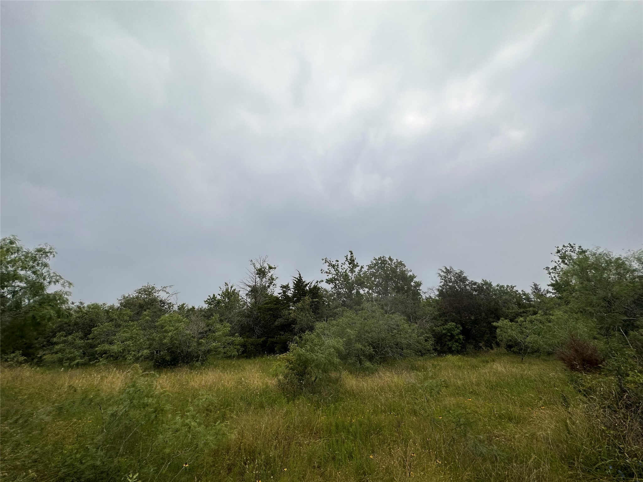 LOT 2 Private Road 4601, Waelder, TX, 78959 | 1371869 | Realty Texas LLC