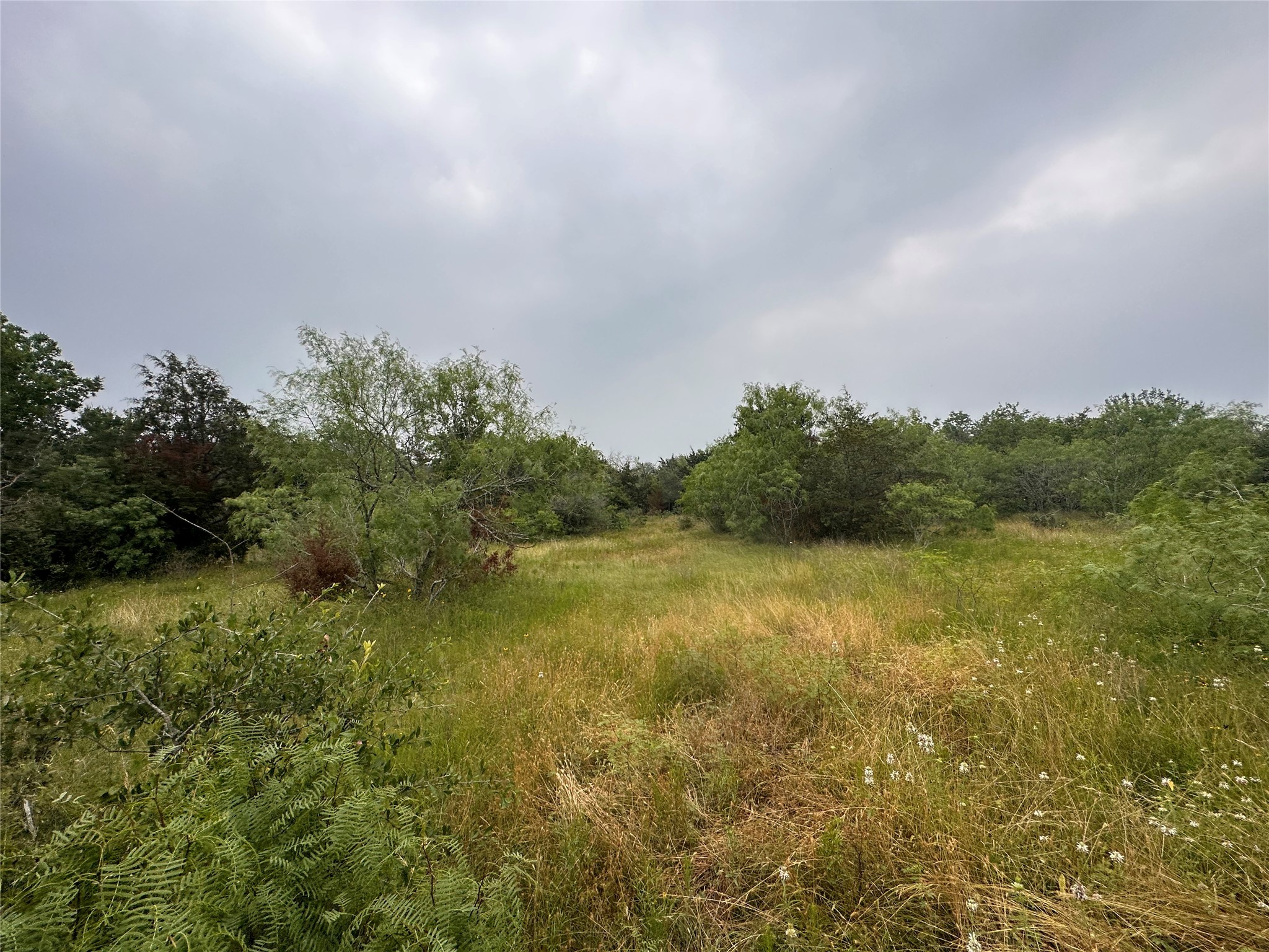 LOT 2 Private Road 4601, Waelder, TX, 78959 | 1371869 | Realty Texas LLC